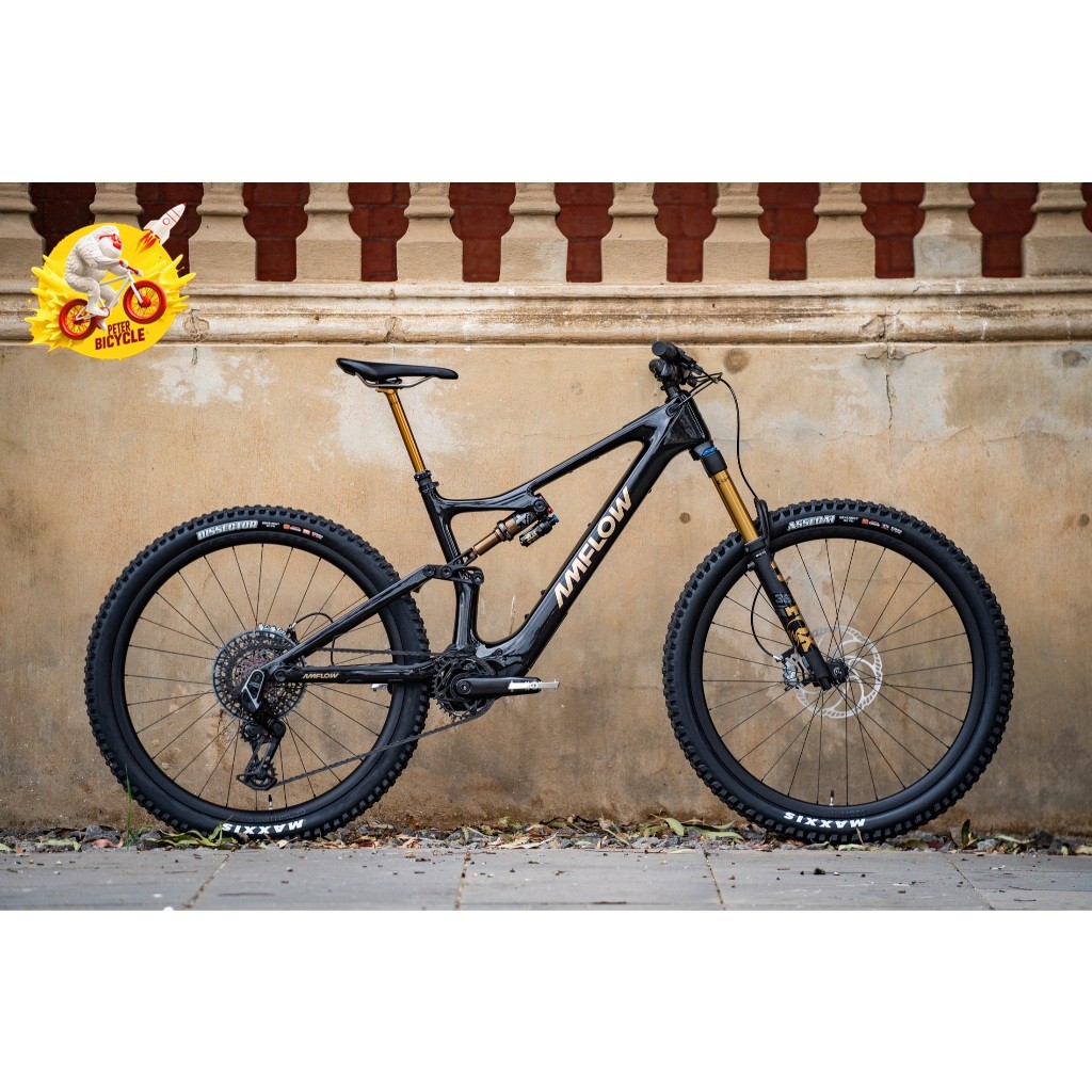 จักรยานเสือภูเขาไฟฟ้าจาก DJI Amflow PL CARBON PRO 2025 เกรดพรีเมี่ยมจากอเมริกา เหมาะสำหรับการขับขี่ทุกสภาพเส้นทาง