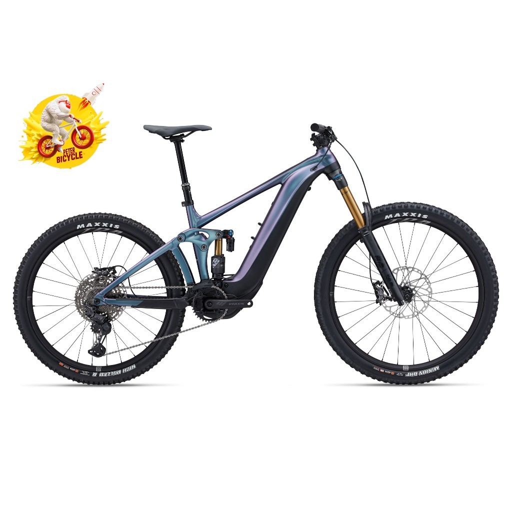 จักรยานไฟฟ้าเสือภูเขา Giant รุ่น Reign E 1