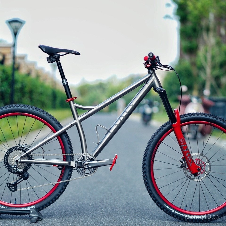 Diyun DIOREN Titanium Alloy Mountain Bike with RockShox Fork Michelin Tire and XTR Kit